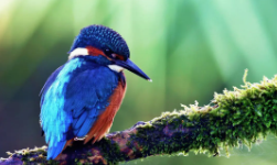 新“夜”態點亮“夜成都”