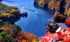 听海螺说悄悄话，海上“思”路寻芳香