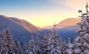 “绿美广东”研学线路:绿美文化：传好一门艺