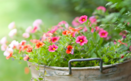 秦兵马俑导游词范文