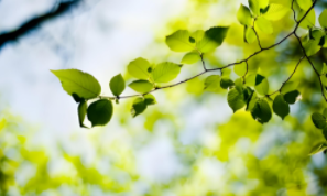 广州研学旅游路线