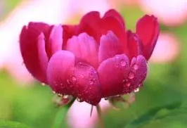 （精品）黄山的导游词8篇