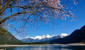 广州研学旅游路线