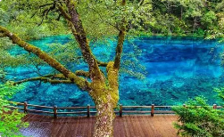 视频：舌尖上的安福