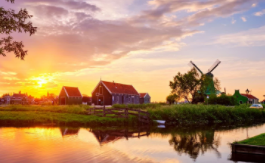 “绿美广东”研学线路:绿美树说：护好一片林