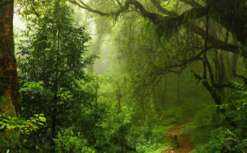 广东研学线路:“啸仙记忆”——红色文化路线